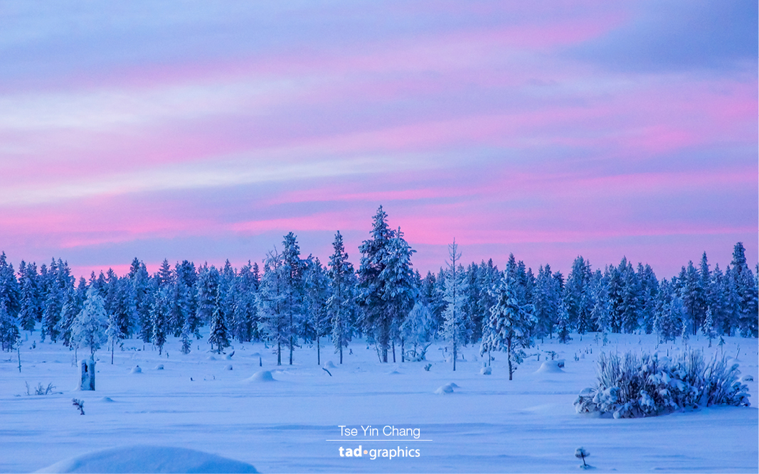 Magical sunrise in Lapland. Taken during a husky ride. I definitely miss the breathtaking landscape of Lapland