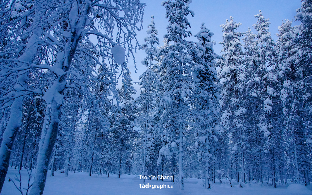 Winter wonderland in Lapland