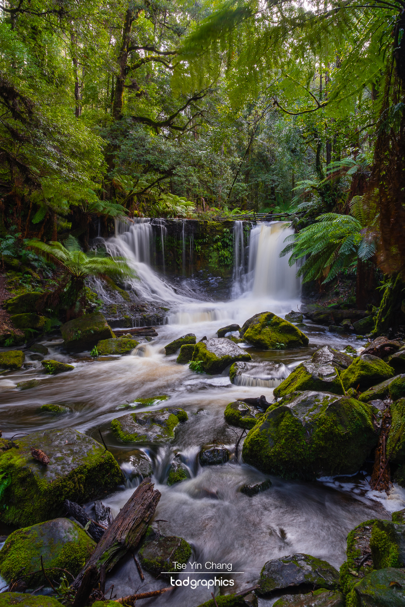 This photo of Horseshoe Falls in Mount Field National Park was showcased at the Your Exhibition Shot exhibition at the Berlin Blue Art Gallery, Germany in November 2018