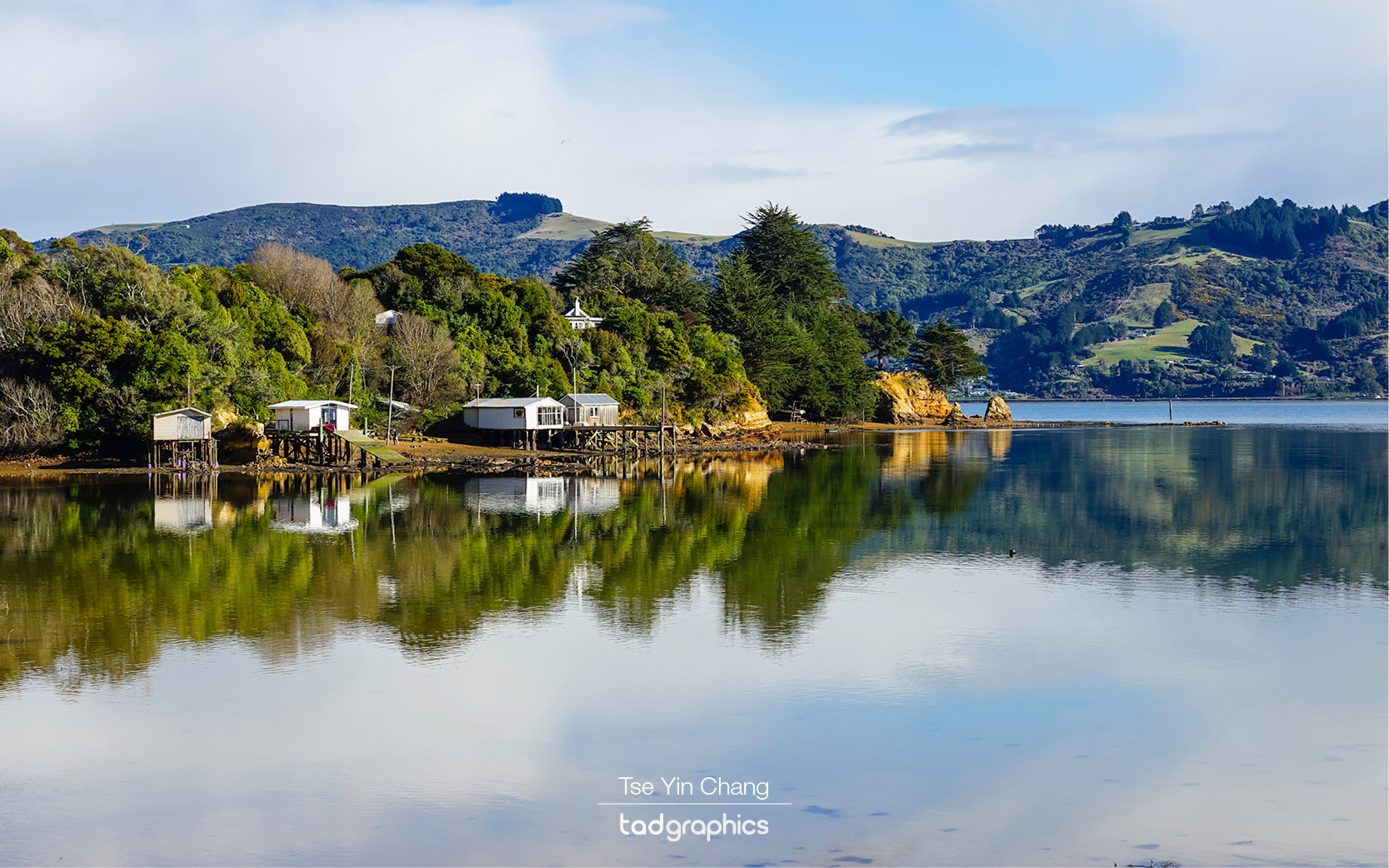 Reflections, Otago Peninsula