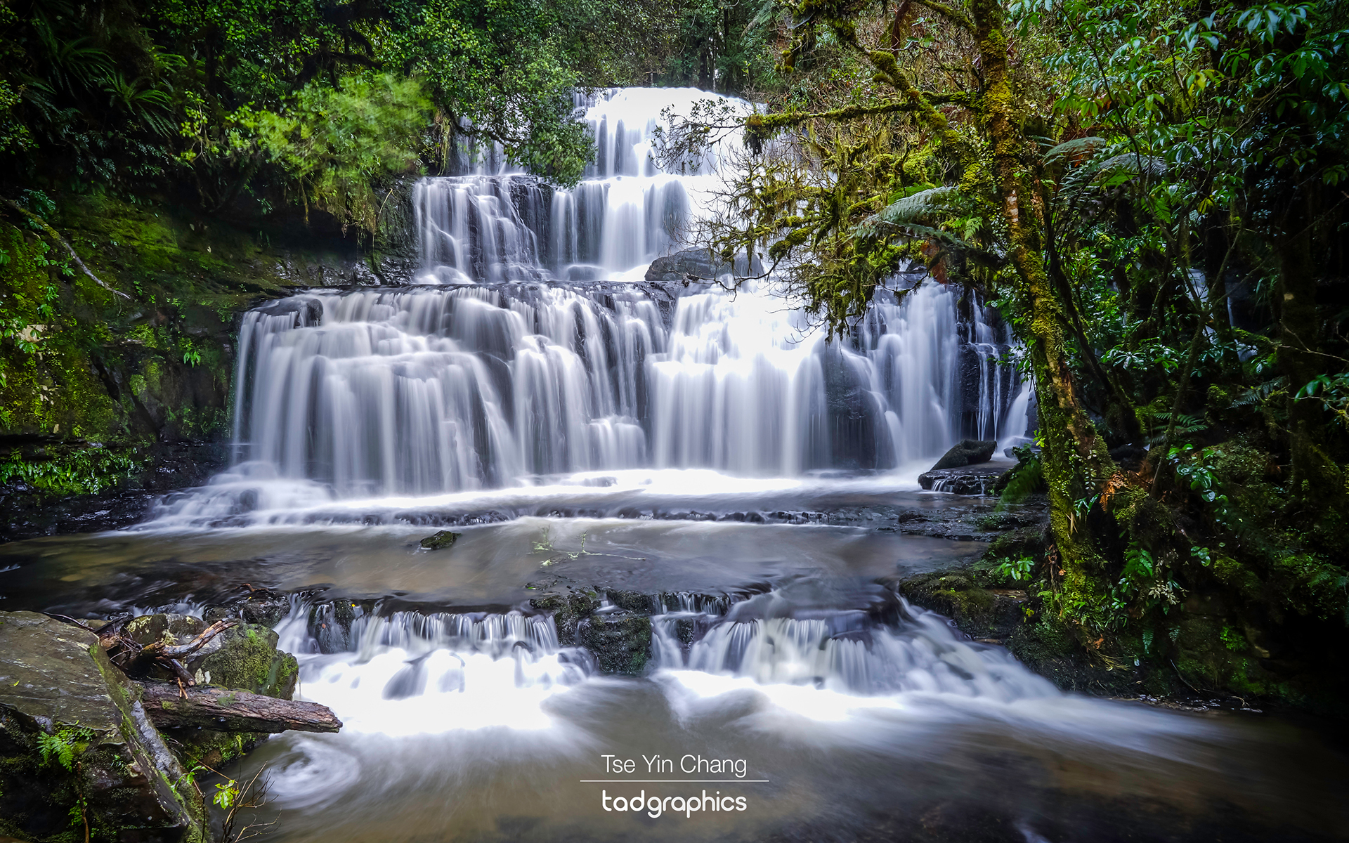 Purakaunui Falls, located in the Catlins Forest Park is the most photographed waterfall in New Zealand 