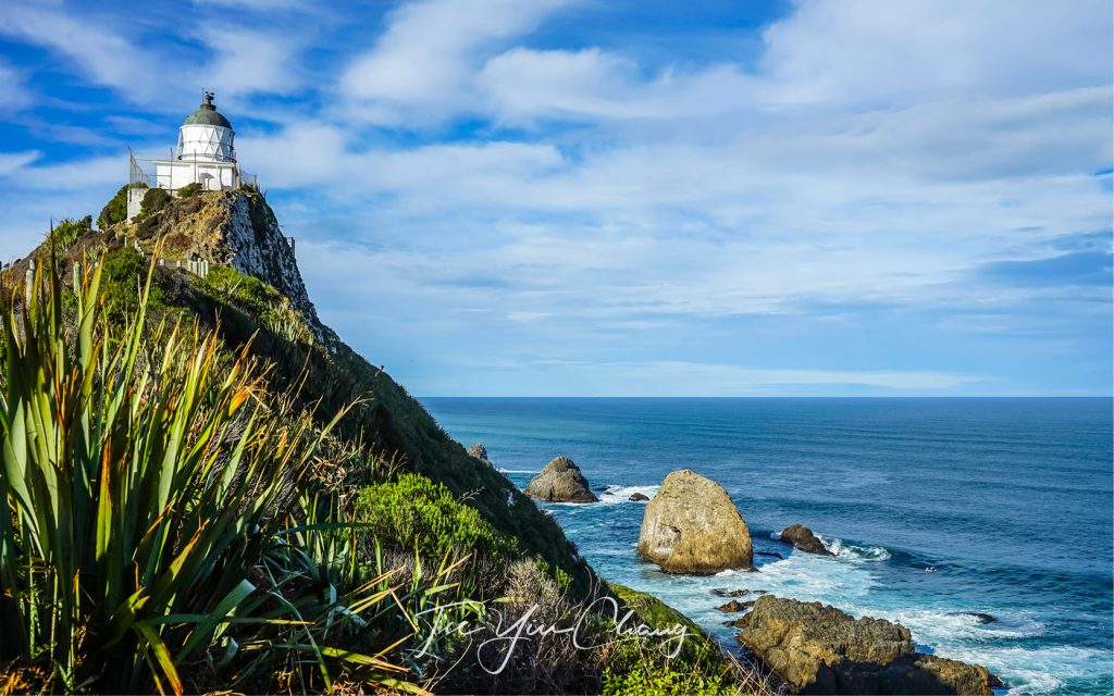 Nugget Point Lighthouse, Otago, South Island, New Zealand