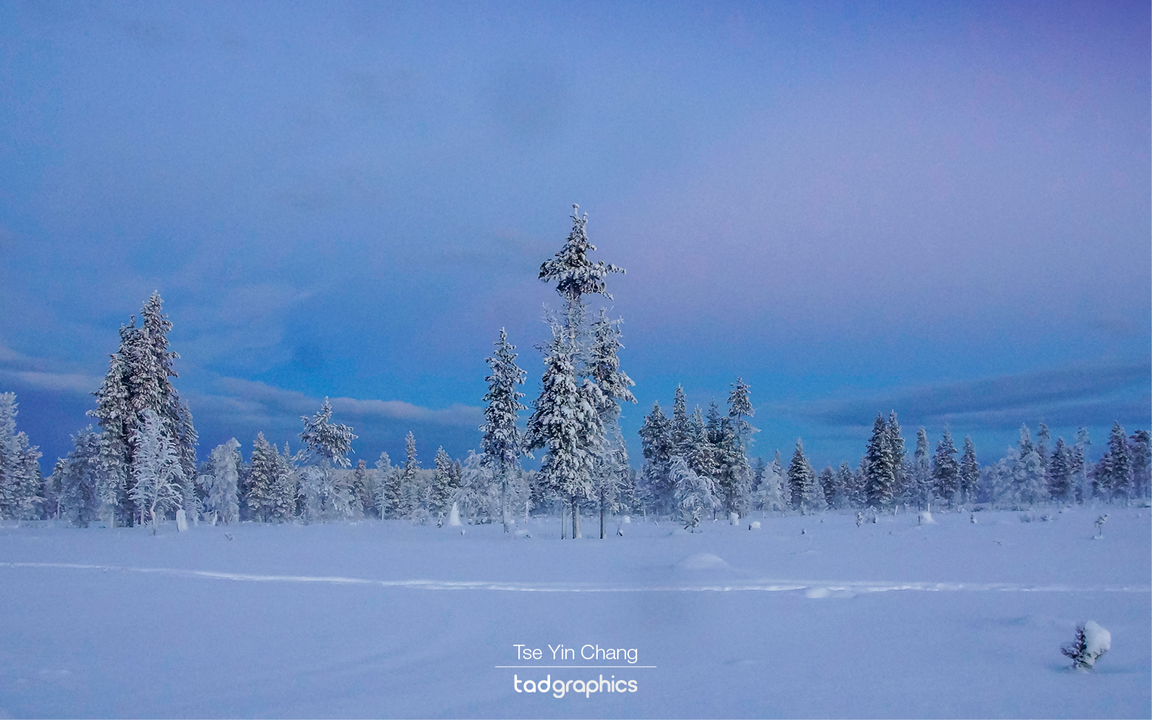 Finnish Lapland at dawn, photographed in winter 2016