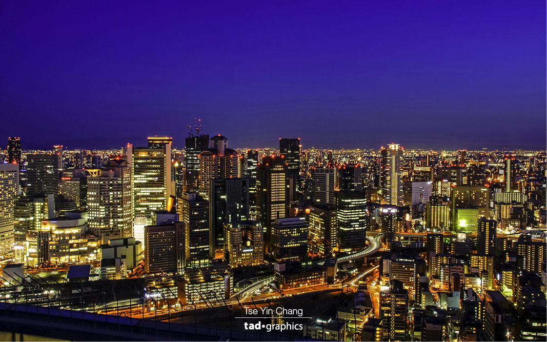 Osaka City at night taken from Umeda Sky Building