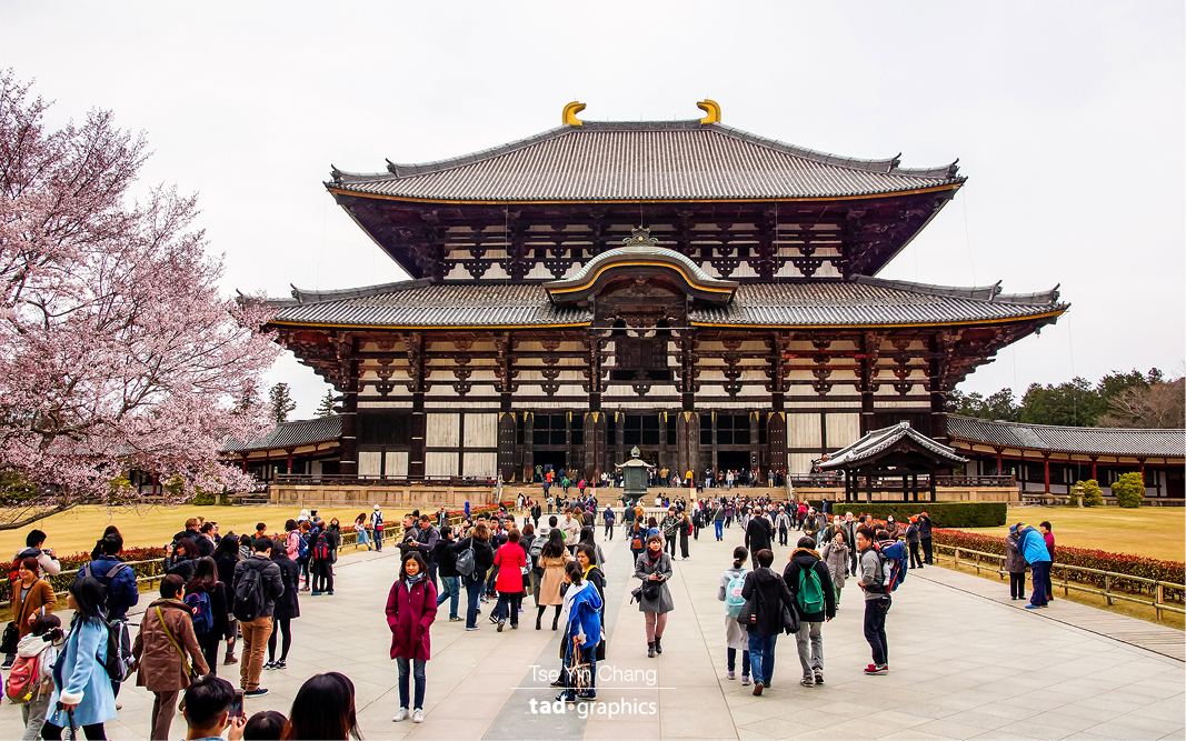 This incredibly beautiful Todai-ji ancient temple is a UNESCO listed World Heritage Site and also home to the largest bronze Buddha statue in the world