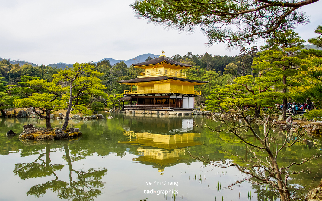 The three story Golden Pavilion or ‘Kinkaku-ji’ building sits in the middle of a landscaped garden and overlooks a large pond