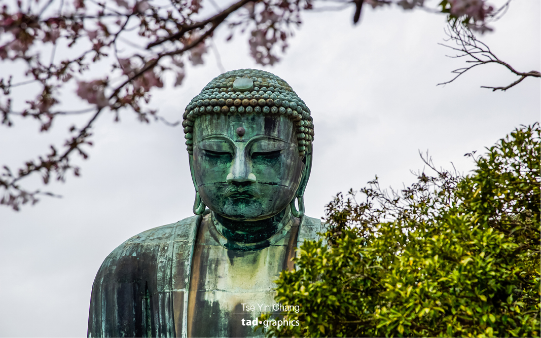The giant bronze Buddha in Kotoku-in temple was built in the year 1252.