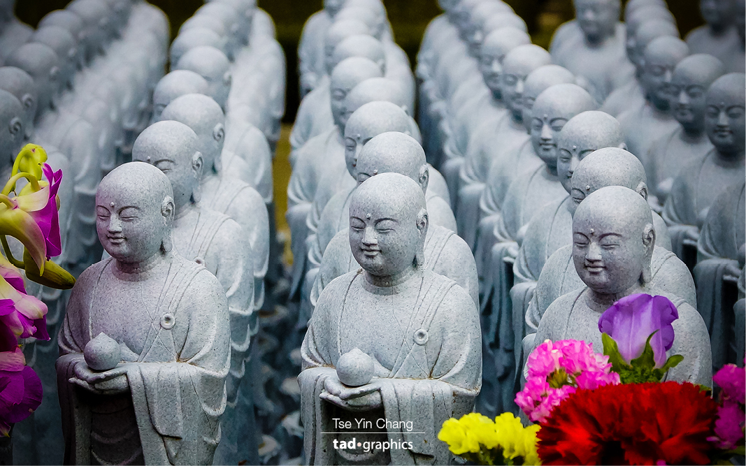 Mini Buddha statues in Hase Kannon