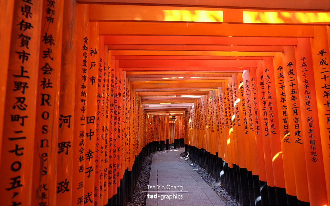 Striking Torii paths in the famous Fushimi Inari-taisha Shrine 