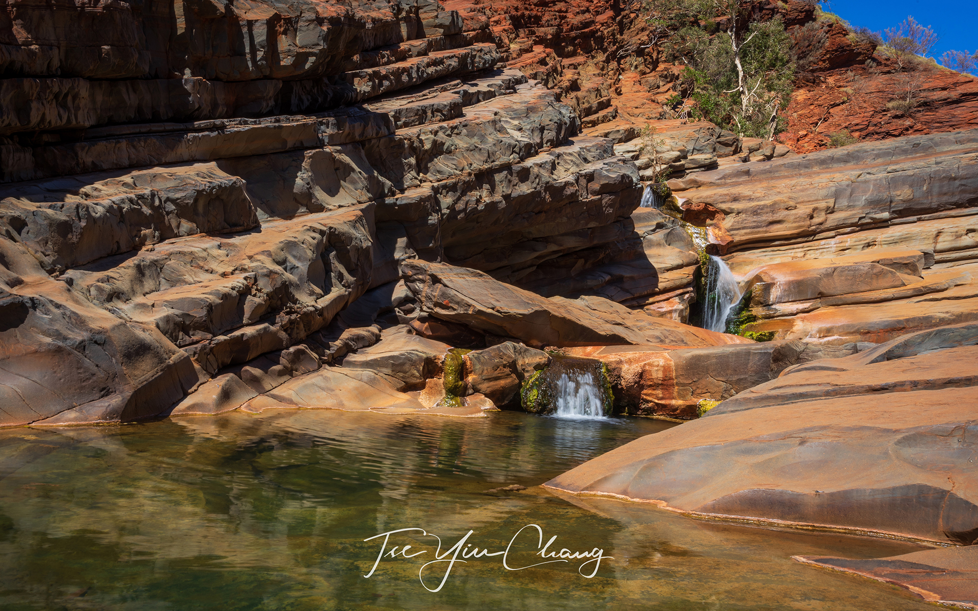 Hamersley Gorge is an idyllic swimming hole. You can descend into the canyon and clamber along the rocks past a succession of pools