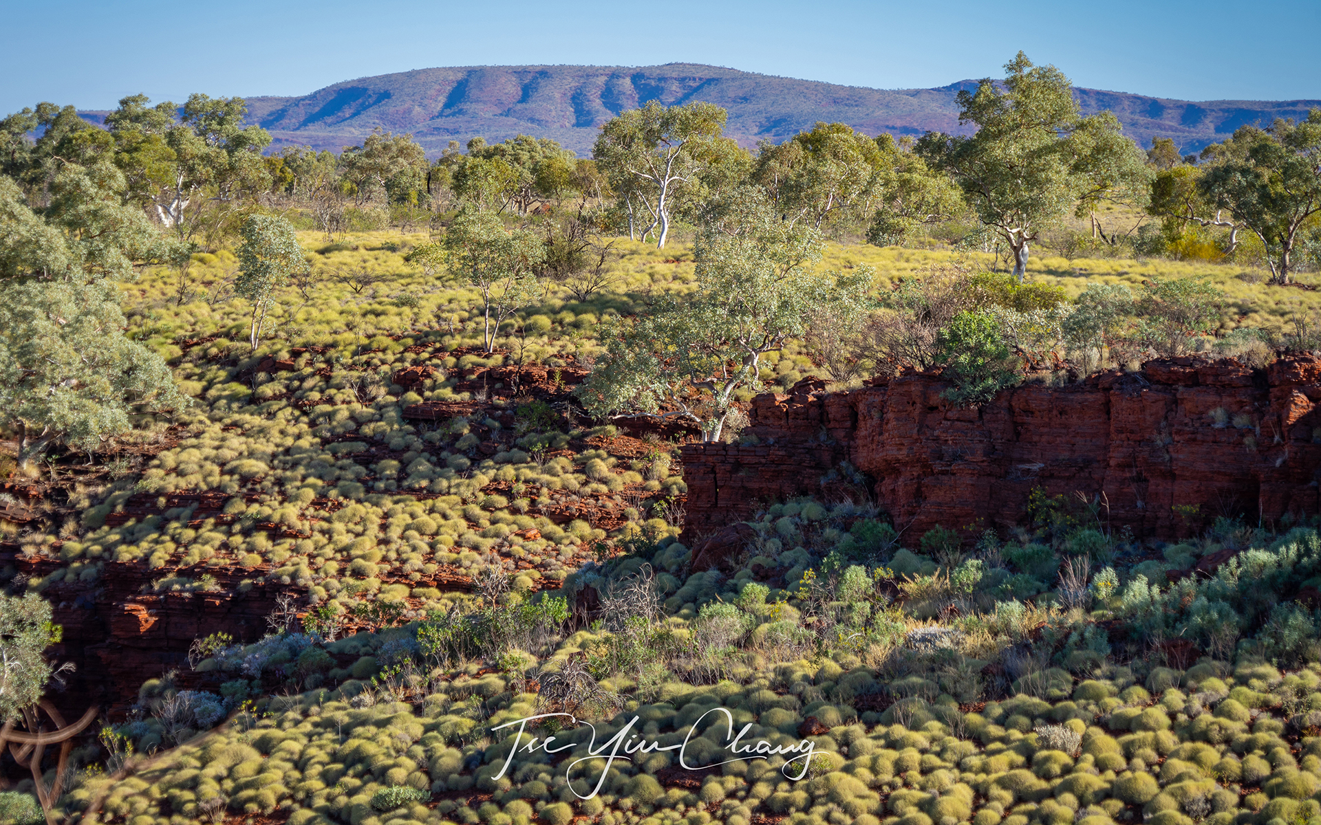 The hemispherical appearance of Spinifex covering the hills gave the Pilbara landscape the iconic hummocky look, Weano Gorge