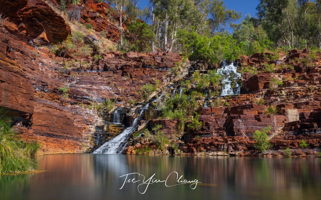 Fortescue Falls is the park's only permanent waterfall located within the iron-rick Dales Gorge Fortescue Falls. The waterfall tumble 20 metres in cumulative height over a series of red stepped cascade adding a touch of drama