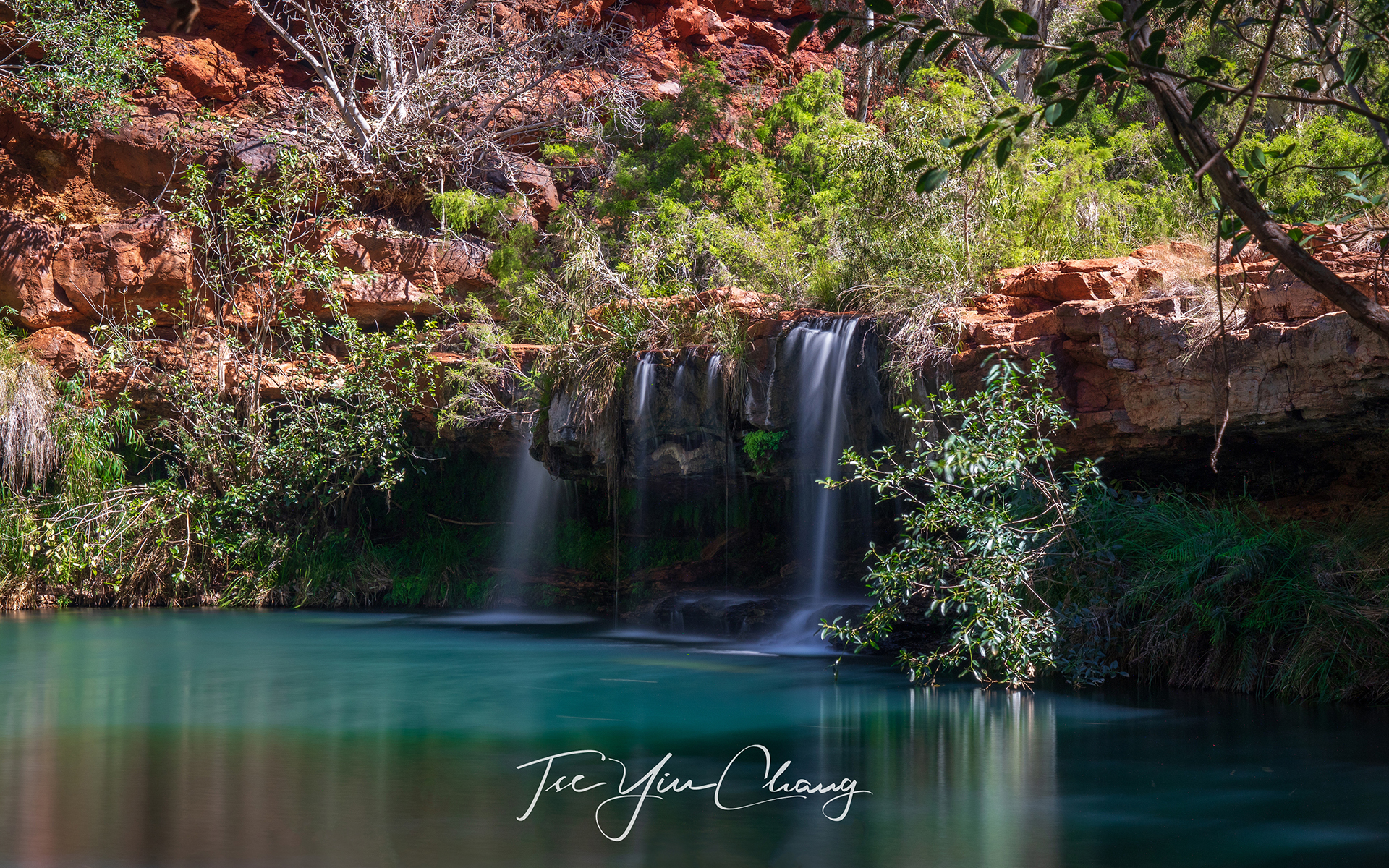 Sheltered from the worst of the sun and irrigated by the emerald river water, Fern Pool is a refuge of life which contrasts with the arid country at the top of the cliffs