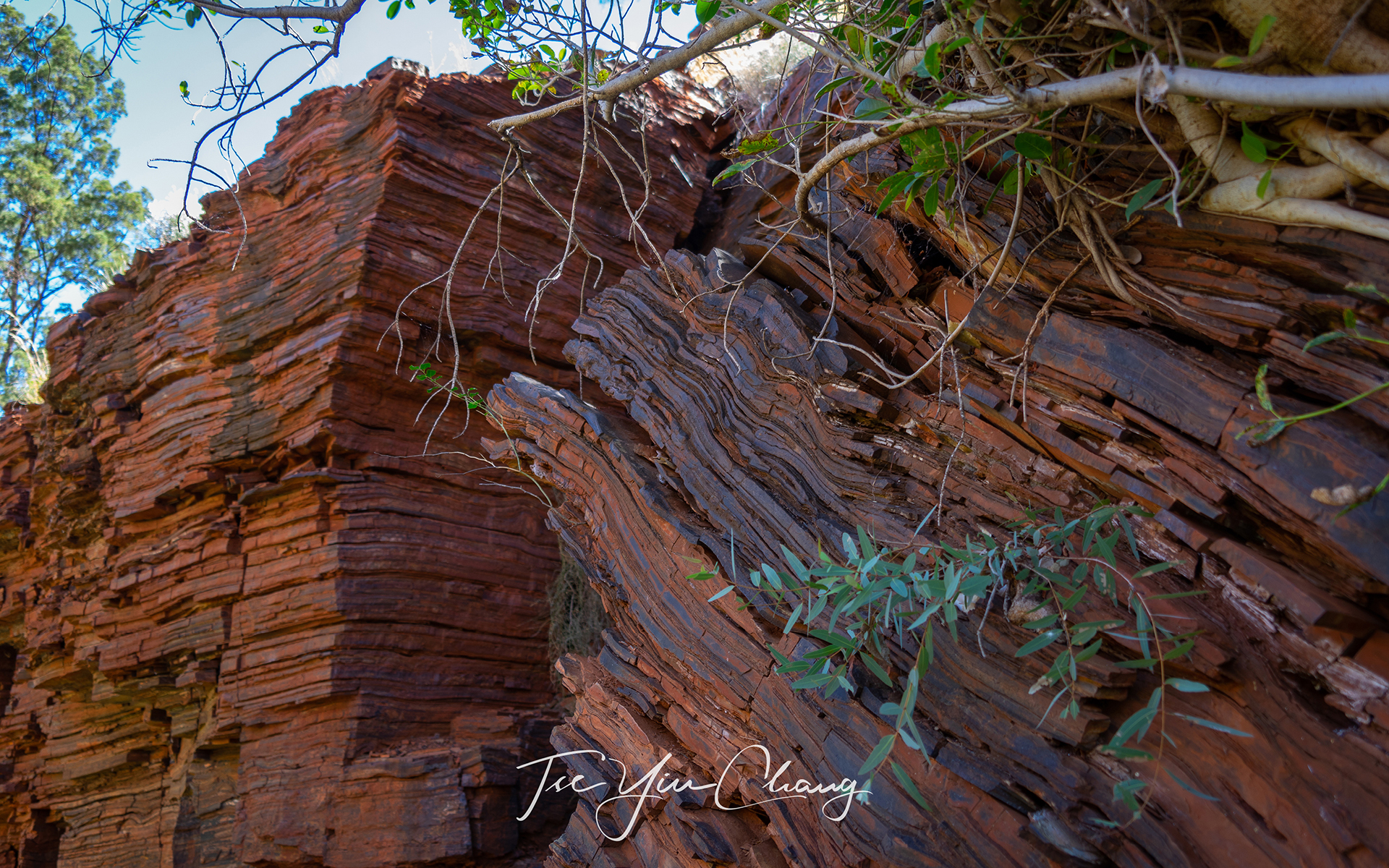 Unique iron-rich rock formation at Fortescue Falls 