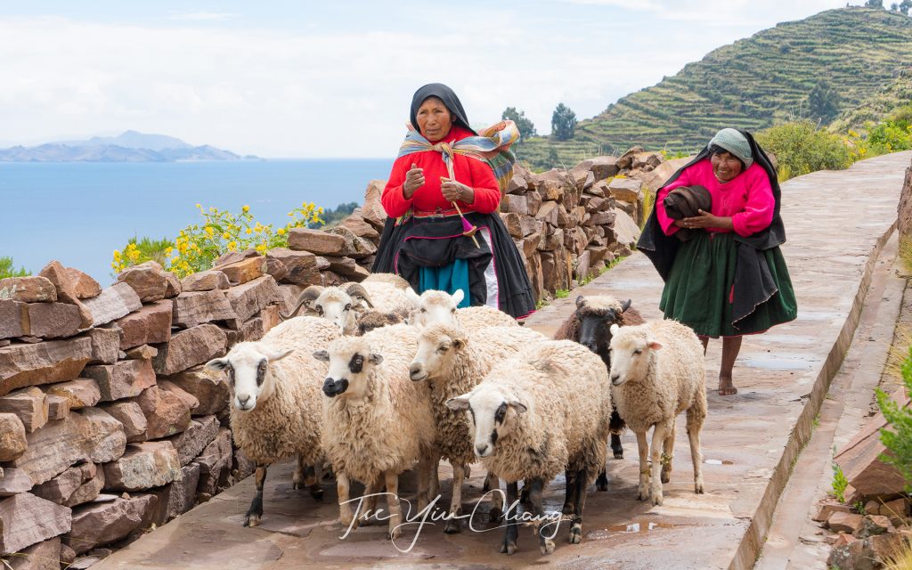 Local sheep farmer, Taquile Island, Lake Titicaca