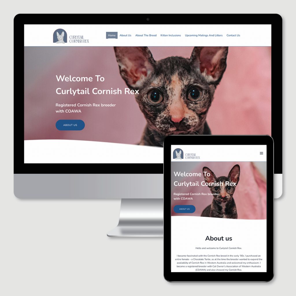 Curlytail Cornish Rex website